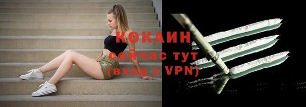 прущая мука Инсар