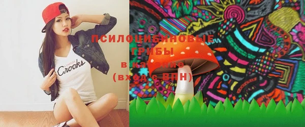 ПСИЛОЦИБИНОВЫЕ ГРИБЫ Зеленодольск